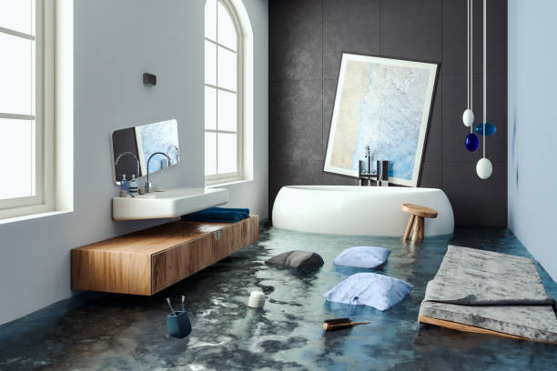 Best Professional water damage repair  in Harrisonville, MO