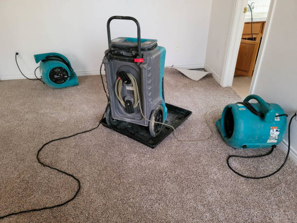 Best Water damage restoration near me  in Harrisonville, MO