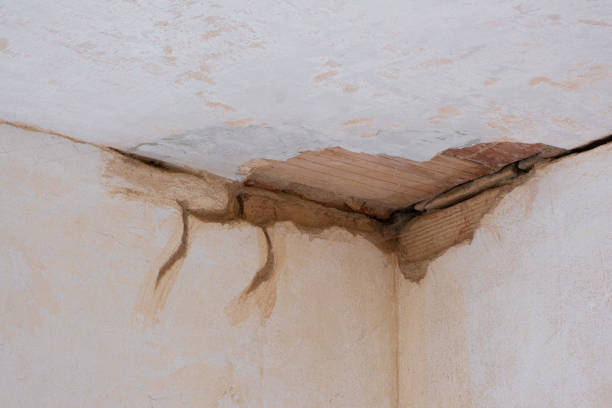 Best Emergency water damage restoration  in Harrisonville, MO