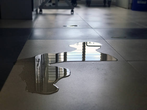 Best Local water damage restoration  in Harrisonville, MO