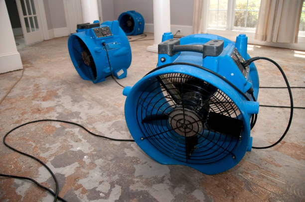 Best Water damage restoration services  in Harrisonville, MO