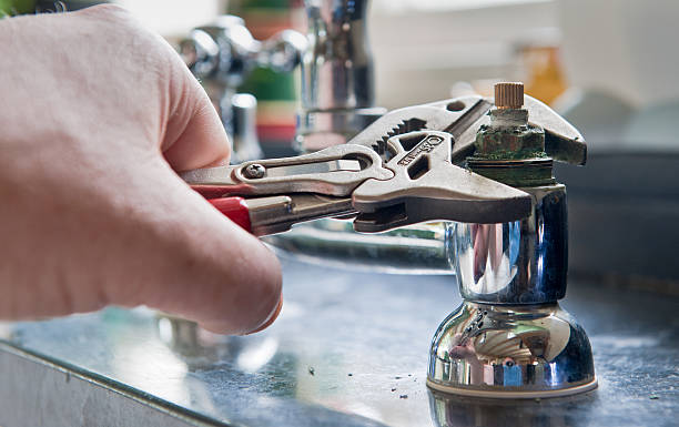 Best Flooded house restoration  in Harrisonville, MO
