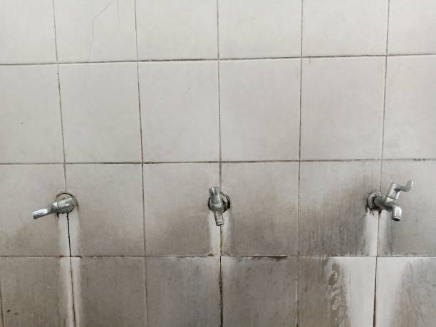 Best Carpet water damage restoration  in Harrisonville, MO