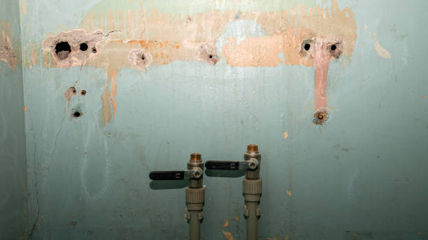 Best Fire Damage Restoration  in Harrisonville, MO