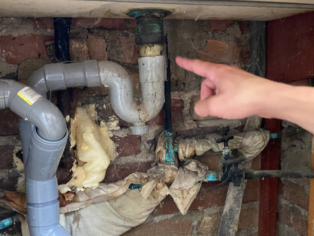 Best 24-hour water damage restoration  in Harrisonville, MO