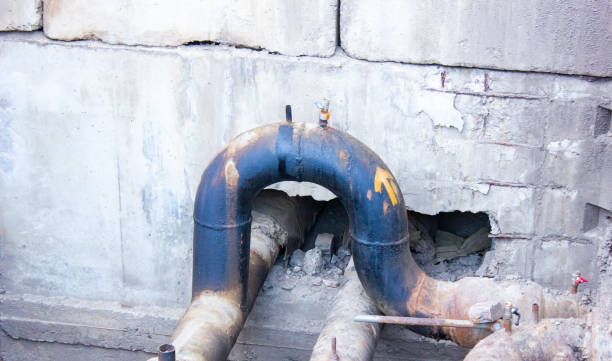 Best Water damage cleanup near me  in Harrisonville, MO