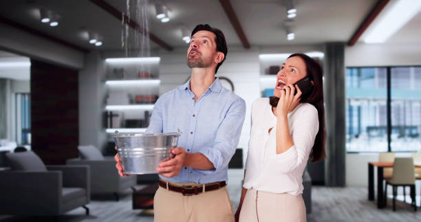 Best Basement water damage restoration  in Harrisonville, MO