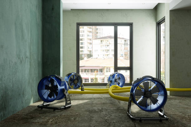 Reliable MO Water damage restoration Solutions